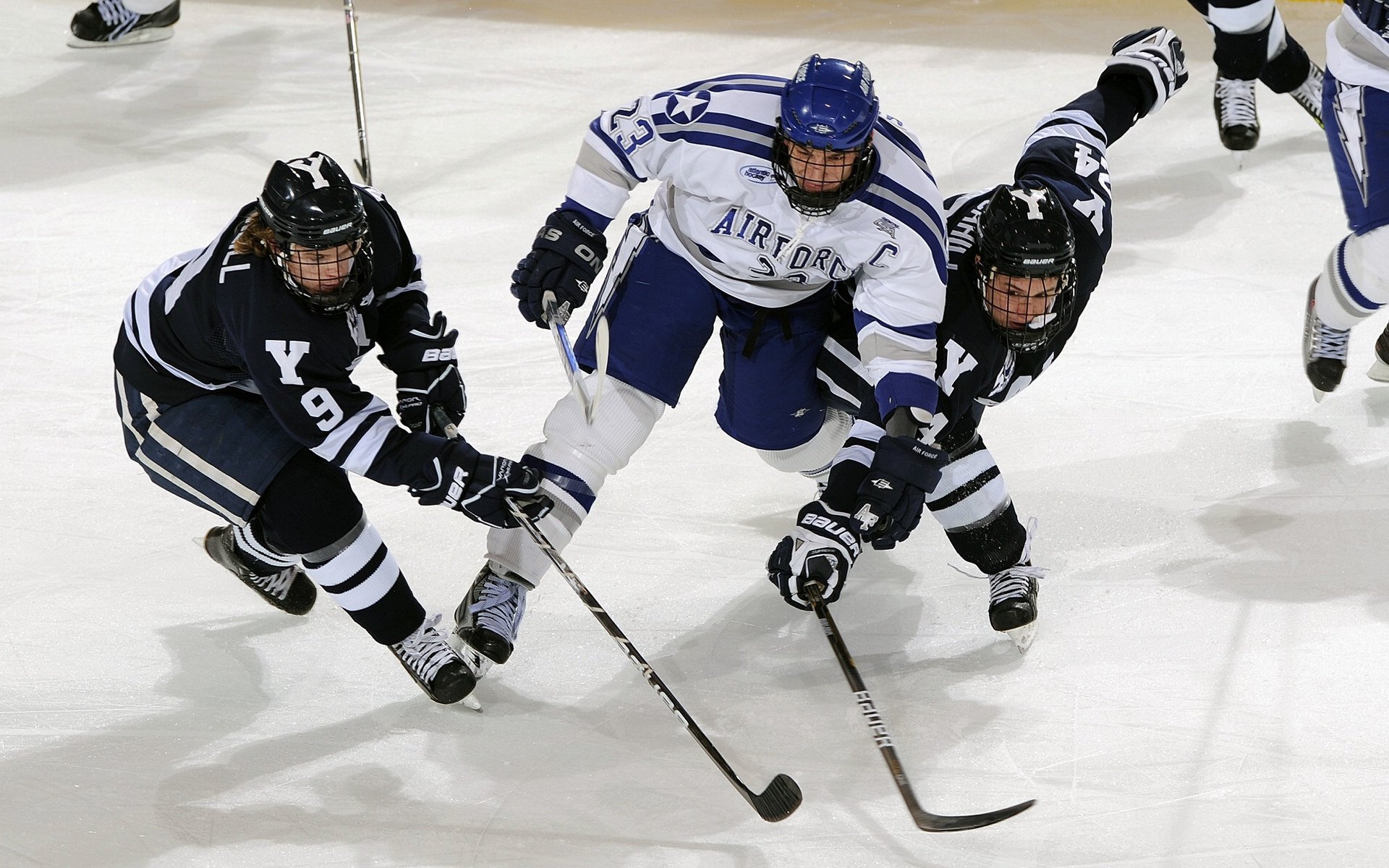 总决赛最新形势：费内巴切高居榜首，费内巴切强势追赶，冠军归属成迷